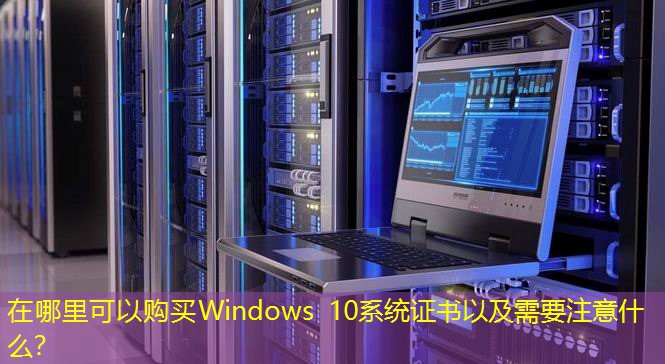 在哪里可以购买Windows 10系统证书以及需要注意什么？