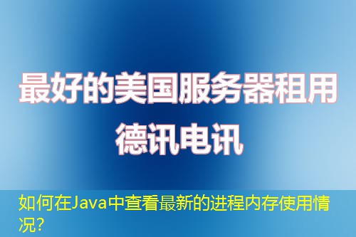 如何在Java中查看最新的进程内存使用情况？