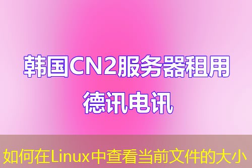 如何在Linux中查看当前文件的大小
