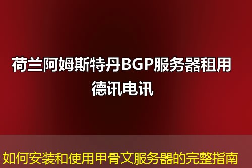 如何安装和使用甲骨文服务器的完整指南 如何安装和使用甲骨文服务器的完整指南