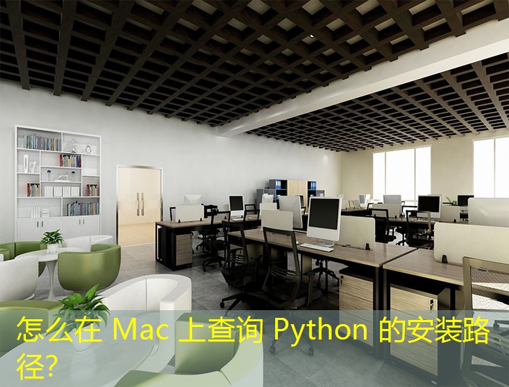 怎么在 Mac 上查询 Python 的安装路径？