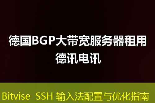 Bitvise SSH 输入法配置与优化指南 Bitvise SSH 输入法配置与优化指南