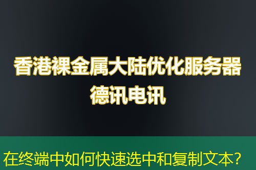 在终端中如何快速选中和复制文本？