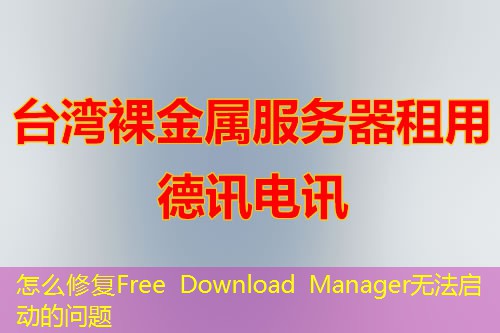怎么修复Free Download Manager无法启动的问题