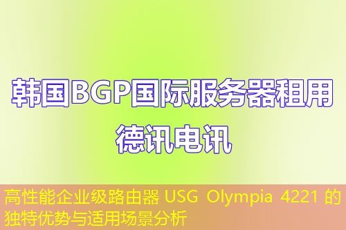 高性能企业级路由器 USG Olympia 4221 的独特优势与适用场景分析