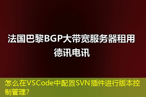 怎么在VSCode中配置SVN插件进行版本控制管理？