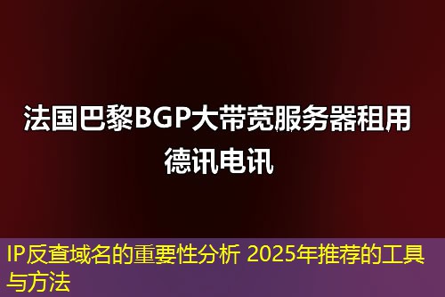 IP反查域名的重要性分析 2025年推荐的工具与方法