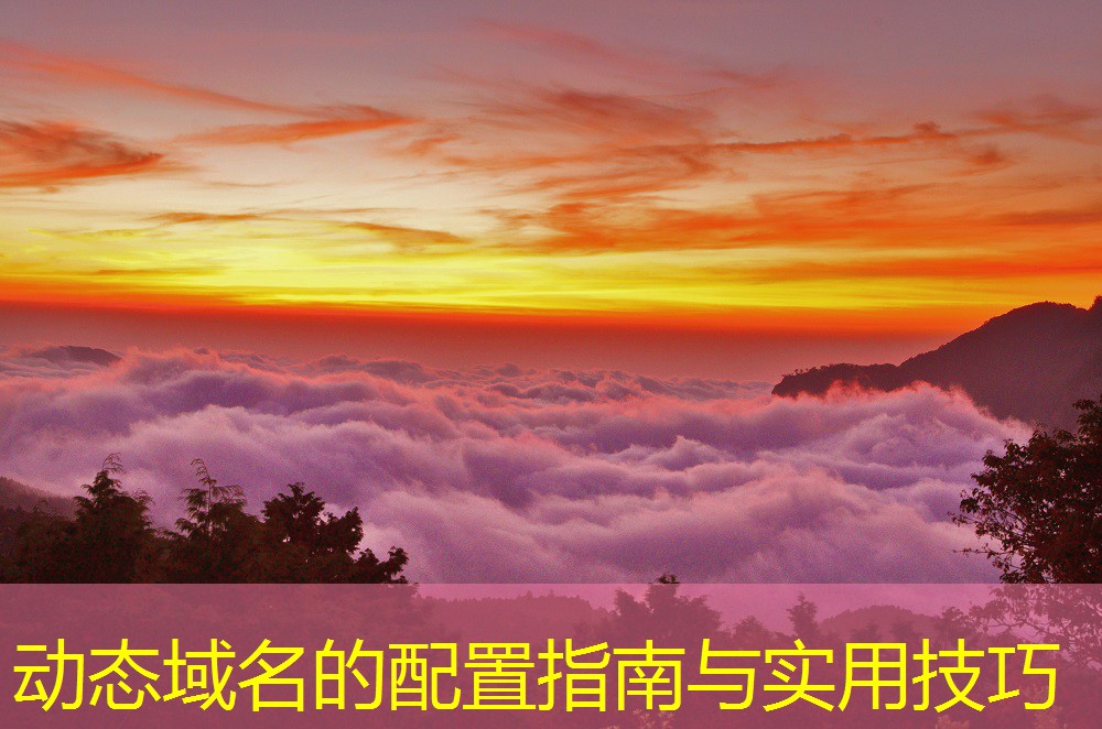 动态域名的配置指南与实用技巧