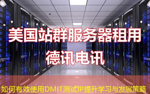 如何有效使用DMIT测试IP提升学习与发展策略