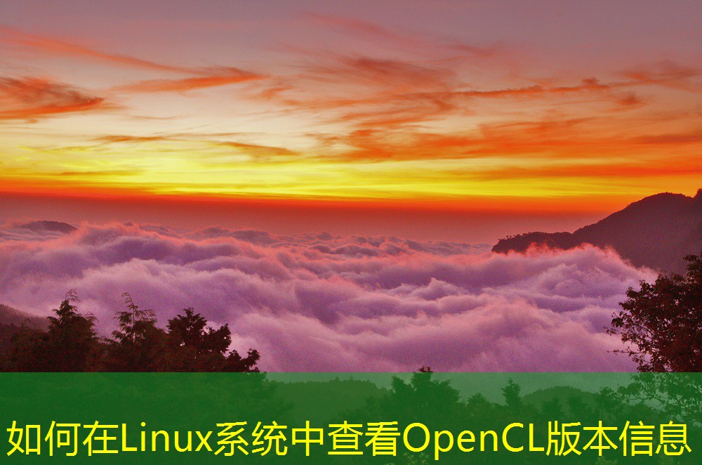 如何在Linux系统中查看OpenCL版本信息