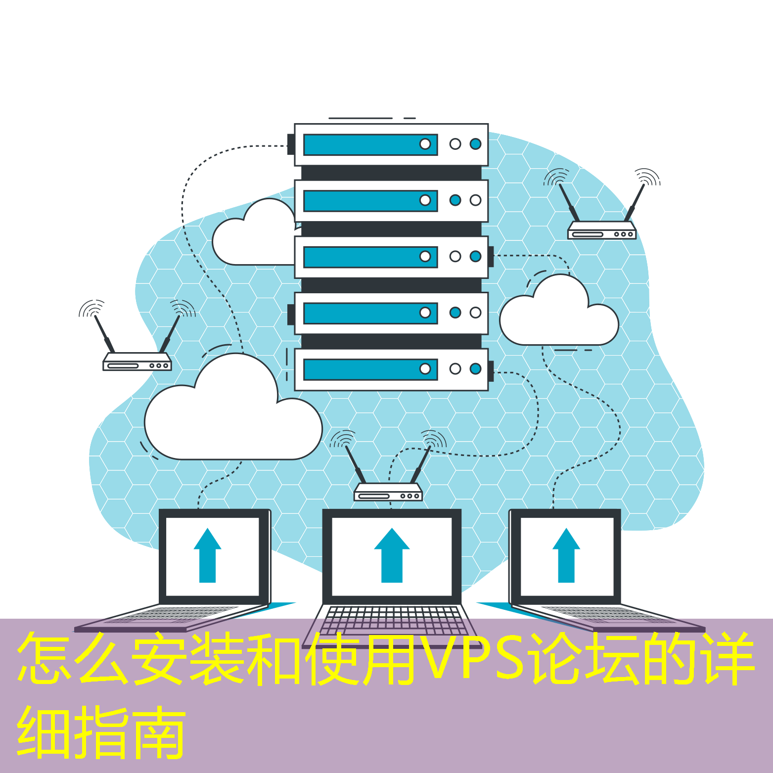 怎么安装和使用VPS论坛的详细指南