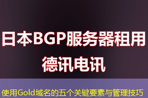 使用Gold域名的五个关键要素与管理技巧