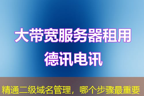 精通二级域名管理，哪个步骤最重要