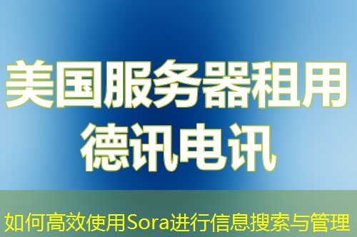 如何高效使用Sora进行信息搜索与管理