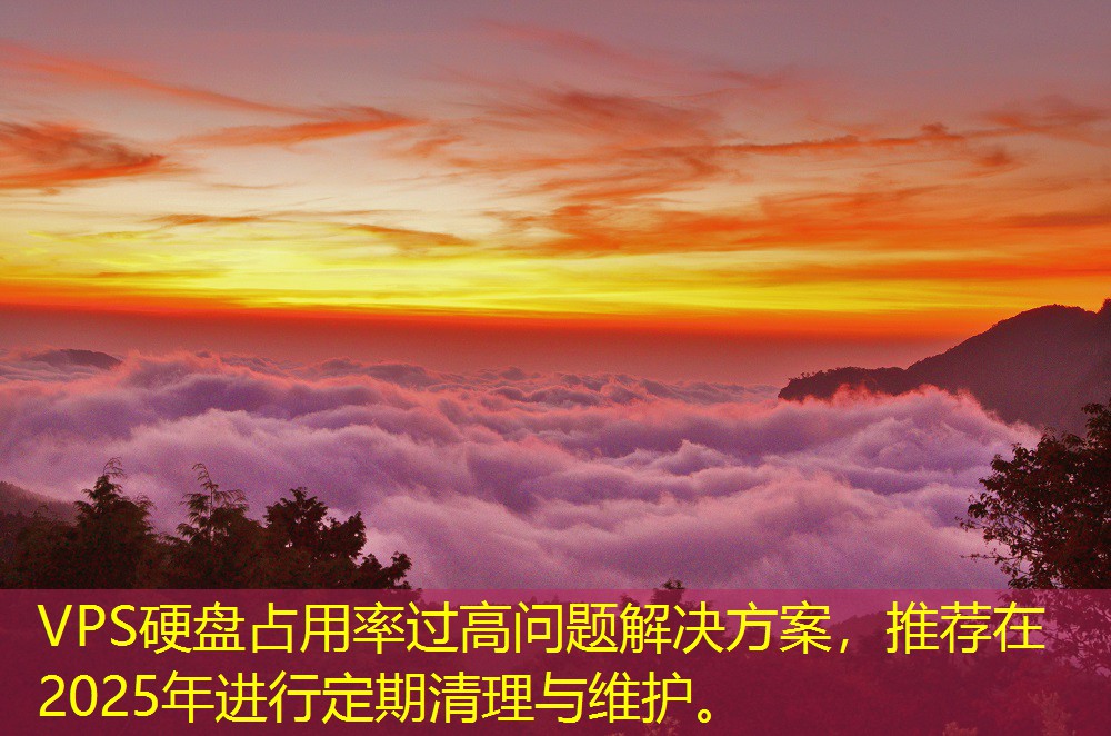 VPS硬盘占用率过高问题解决方案，推荐在2025年进行定期清理与维护。