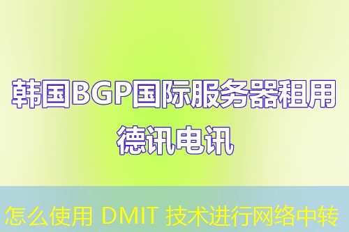 怎么使用 DMIT 技术进行网络中转