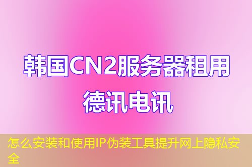 怎么安装和使用IP伪装工具提升网上隐私安全