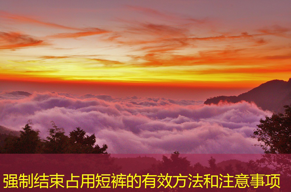 强制结束占用短裤的有效方法和注意事项 强制结束占用短裤的有效方法和注意事项