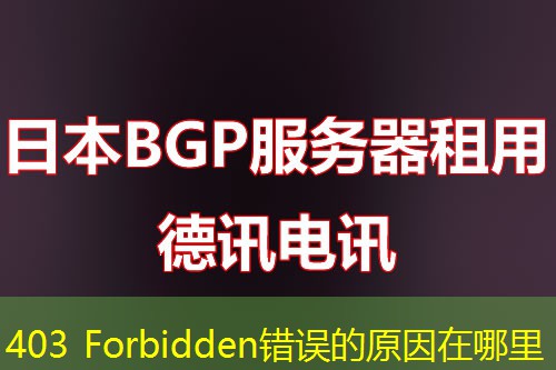 403 Forbidden错误的原因在哪里