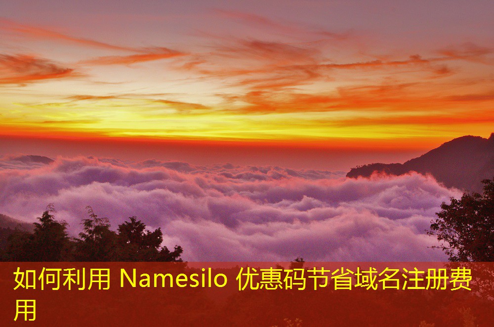 如何利用 Namesilo 优惠码节省域名注册费用
