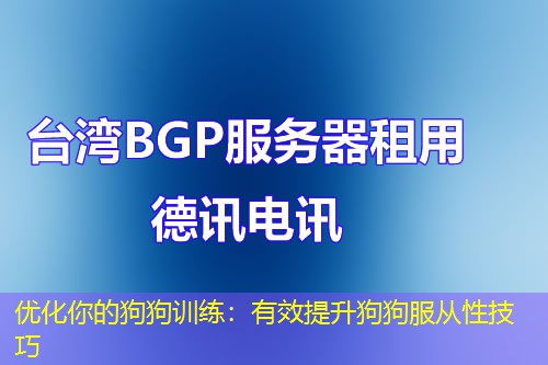 优化你的狗狗训练：有效提升狗狗服从性技巧