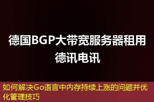 如何解决Go语言中内存持续上涨的问题并优化管理技巧