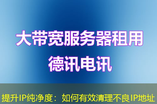提升IP纯净度：如何有效清理不良IP地址