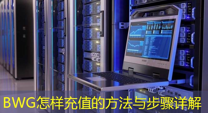 BWG怎样充值的方法与步骤详解