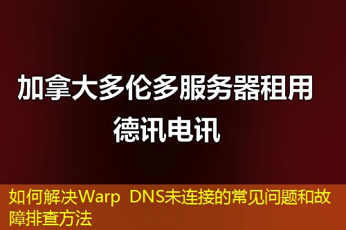 如何解决Warp DNS未连接的常见问题和故障排查方法