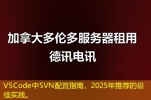 VSCode中SVN配置指南，2025年推荐的最佳实践。