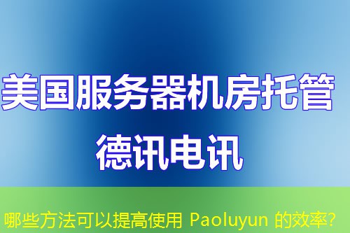 哪些方法可以提高使用 Paoluyun 的效率？
