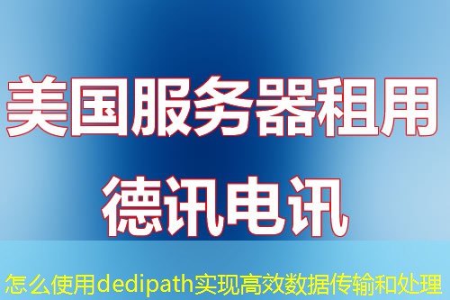 怎么使用dedipath实现高效数据传输和处理