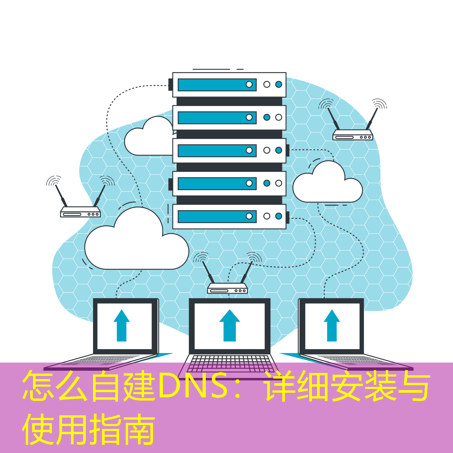 怎么自建DNS：详细安装与使用指南