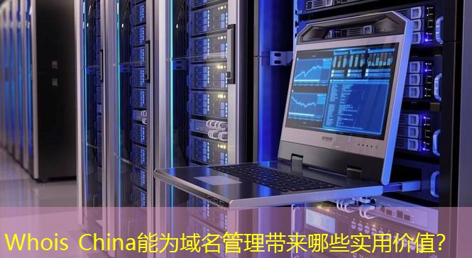 Whois China能为域名管理带来哪些实用价值？