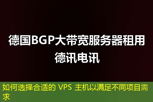 如何选择合适的 VPS 主机以满足不同项目需求