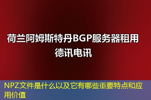 NPZ文件是什么以及它有哪些重要特点和应用价值
