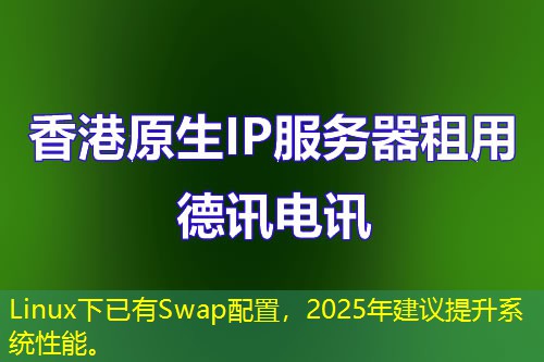 Linux下已有Swap配置，2025年建议提升系统性能。