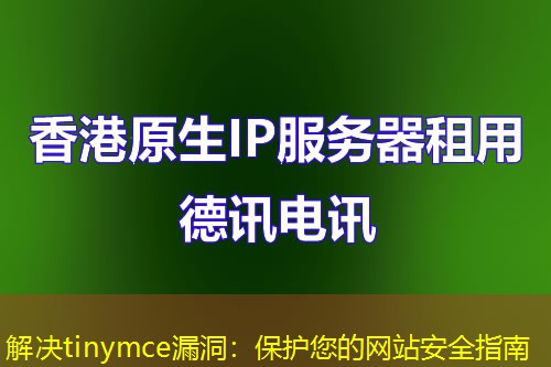 解决tinymce漏洞：保护您的网站安全指南