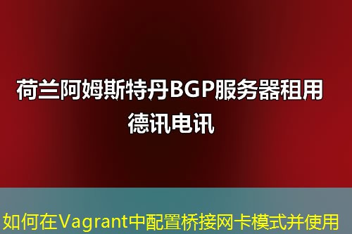 如何在Vagrant中配置桥接网卡模式并使用