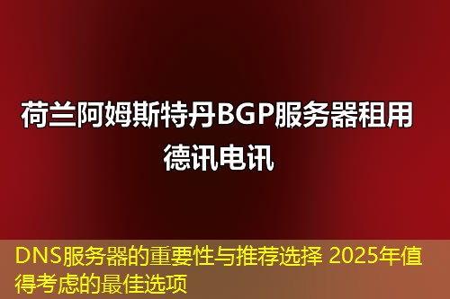DNS服务器的重要性与推荐选择 2025年值得考虑的最佳选项