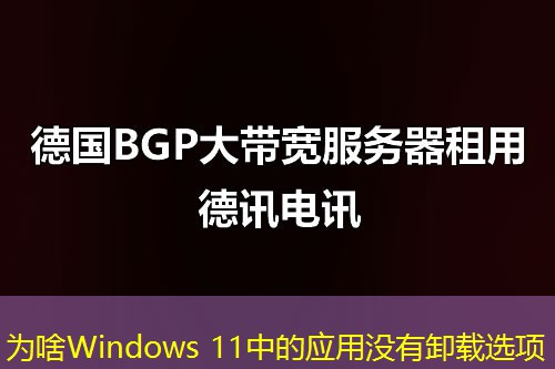 为啥Windows 11中的应用没有卸载选项 为啥Windows 11中的应用没有卸载选项