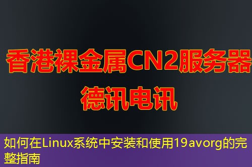 如何在Linux系统中安装和使用19avorg的完整指南
