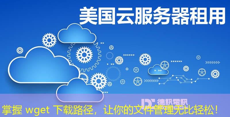 掌握 wget 下载路径，让你的文件管理无比轻松！