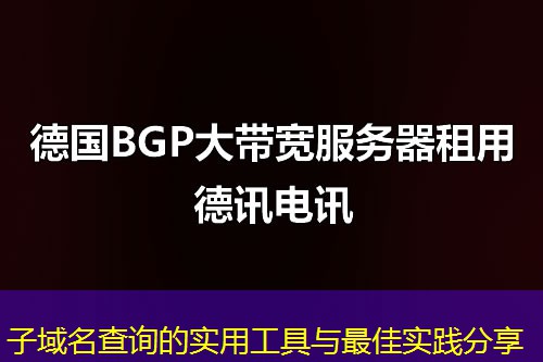 子域名查询的实用工具与最佳实践分享