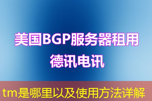 tm是哪里以及使用方法详解