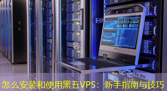 怎么安装和使用黑五VPS：新手指南与技巧
