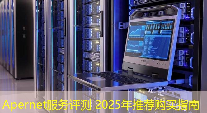 Apernet服务评测 2025年推荐购买指南