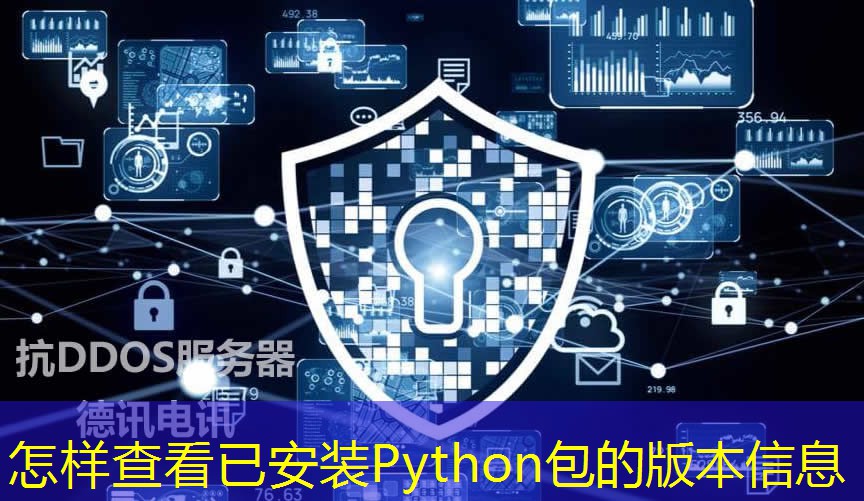 怎样查看已安装Python包的版本信息