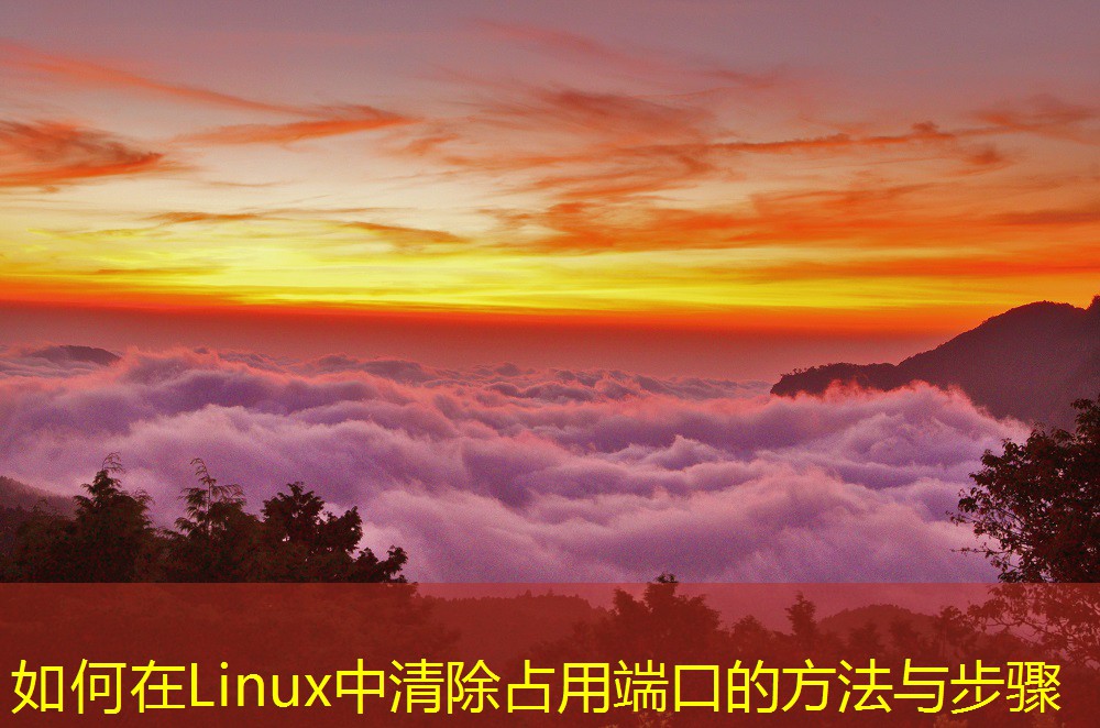 如何在Linux中清除占用端口的方法与步骤