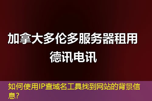 如何使用IP查域名工具找到网站的背景信息？
